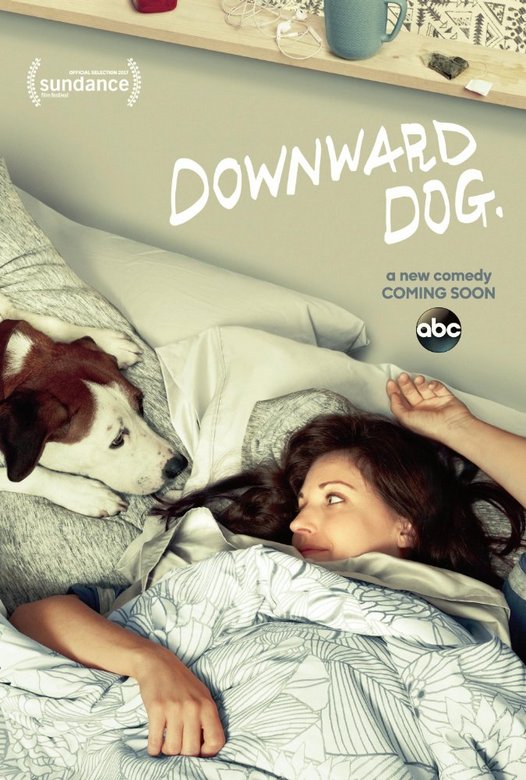 downwarddog