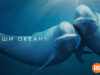 player-Our-Oceans-S1